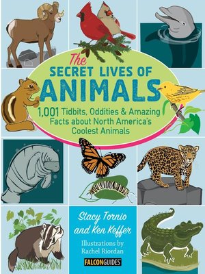 cover image of The Secret Lives of Animals